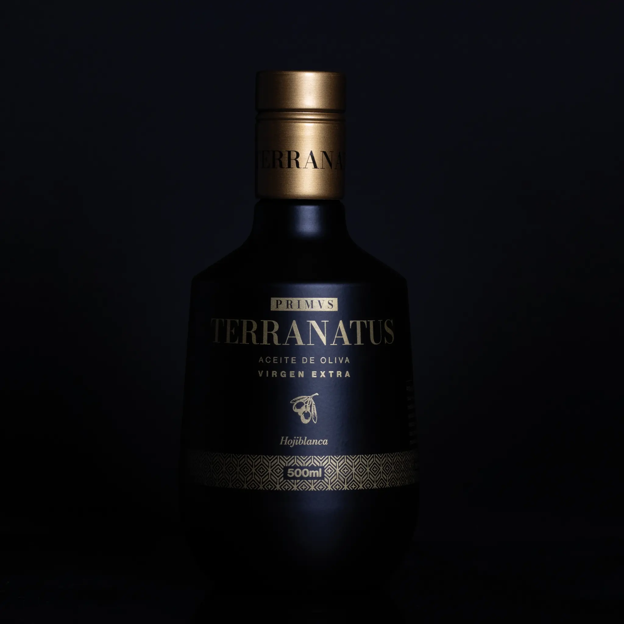 Botella Terranatus — Aceite de Oliva Virgen Extra Hojiblanca
