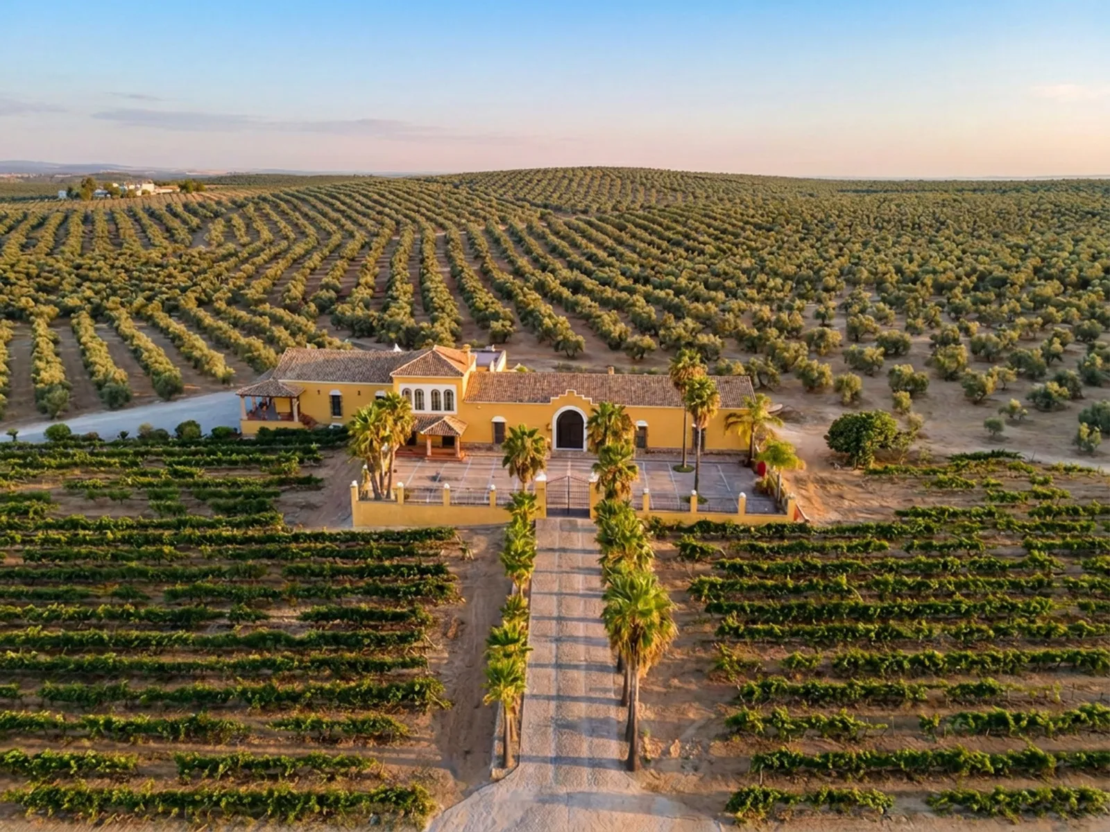 Vista aérea de la finca PRIMVS ESSENCE — 25 hectáreas en Puente Genil
